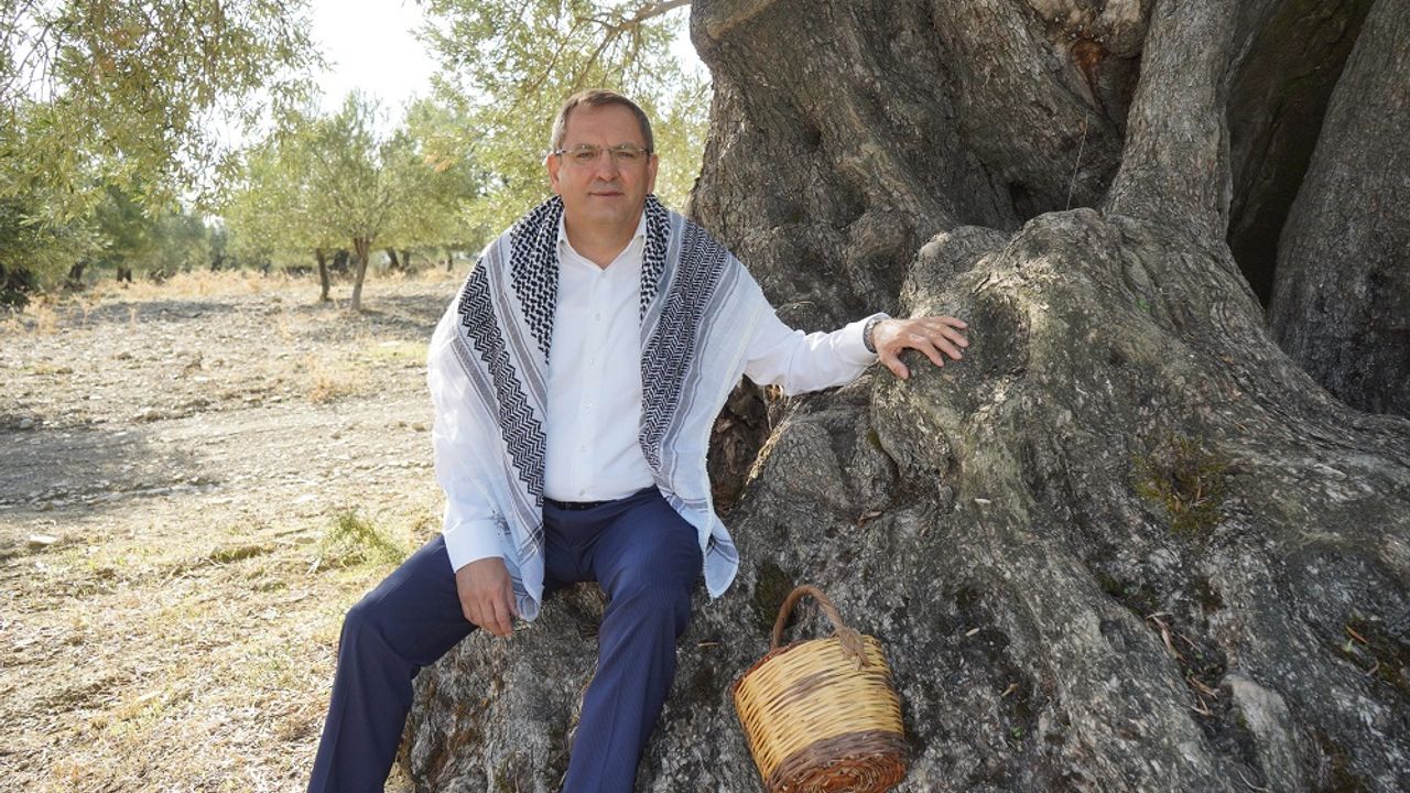 Başkan Ergin; “Zeytinlikleri yok edecek yönetmeliğe dava açtık”