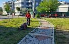Menderes’te Ot Seferberliği