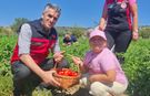 Yamanlar Tarla Domatesi Tarla Günü’nde Üreticilerle Buluştu