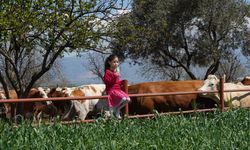 Pınar Süt’te Hedef 2050’de Karbon – Nötr Olmak