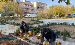 Bergama’da parklar baştan aşağı yenileniyor