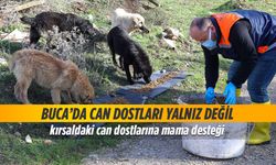 Buca’da can dostları yalnız değil