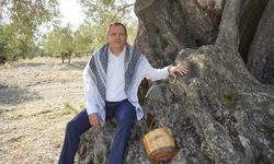 Başkan Ergin; “Zeytinlikleri yok edecek yönetmeliğe dava açtık”