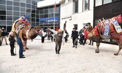 Menemen'de deve gösterisi heyecanı