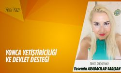 Yonca yetiştiriciliği ve devlet desteği