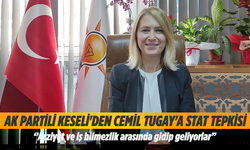 AK Partili Keseli'den Cemil Tugay'a stat tepkisi