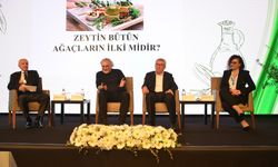 Zeytin ve Zeytinyağı Sektör Buluşması gerçekleştirildi