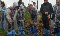 Foça'da Orman Haftası Kutlama ve Fidan Dikim Etkinliği