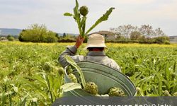 İzmir’in Üç Sürdürülebilir Turizm Hikâyesi Finalde