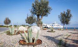 İzmir’in çehresi su tasarruflu bitkilerle güzelleşiyor