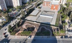 Betonun arasından orman çıktı