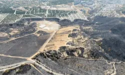 İzmir Orman Bölge Müdürlüğü'nden 'Yamanlar' İddialarına Yalanlama