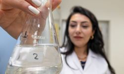 Gediz Nehri mercek altında