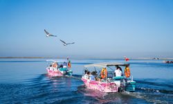 Flamingo Yolu turları bayramda da devam ediyor