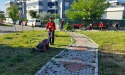 Menderes’te Ot Seferberliği