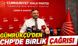 Gümrükçü’den CHP’de Birlik Çağrısı