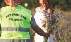 Lavanta Hasat Şenliği için geri sayım başladı
