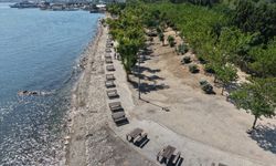 İzmir’in yeşil mirası İnciraltı Kent Ormanı yenileniyor