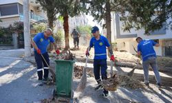 Buca’da yaz temizliği hız kesmeden sürüyor