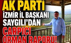 AK Parti İzmir İl Başkanı Saygılı’dan çarpıcı orman raporu!