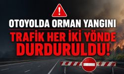 OTOYOLDA ORMAN YANGINI NEDENİYLE TRAFİK HER İKİ YÖNDE DURDURULDU