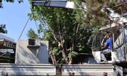 Büyükşehir tarım üreticisinin imdadına yetişti