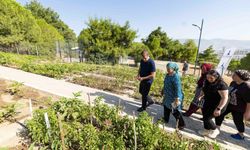 Kozağaç Mahalle Bostanı için kayıt zamanı