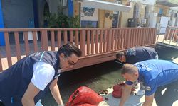 Yasa Dışı Kara Midye Avcılığına Geçit Yok