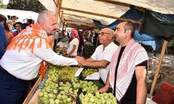 Bozalan İncir Festivali için geri sayım başladı