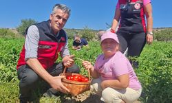 Yamanlar Tarla Domatesi Tarla Günü’nde Üreticilerle Buluştu