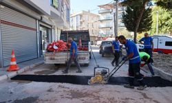 Buca’da Dünya Temizlik Günü’ne özel temizlik harekâtı
