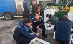 İZMİR’DE SU ÜRÜNLERİ DENETİMLERİ 7/24 SÜRÜYOR