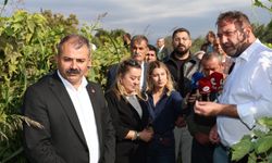 Gümrükçü: “Tatlı Üzümde Acı Fiyat Olmaz, Alım Fiyatı Derhal 150 Liraya Çıkarılmalı”
