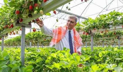 Sofrada adalet için İzmir hamlesi