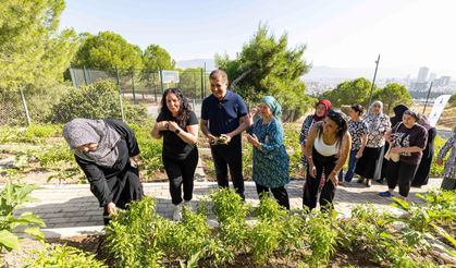 Mahalle bostanlarında üretim ve dayanışma büyüyor