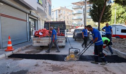 Buca’da Dünya Temizlik Günü’ne özel temizlik harekâtı
