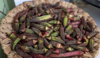 Gastrofest’te Bornova rüzgarı