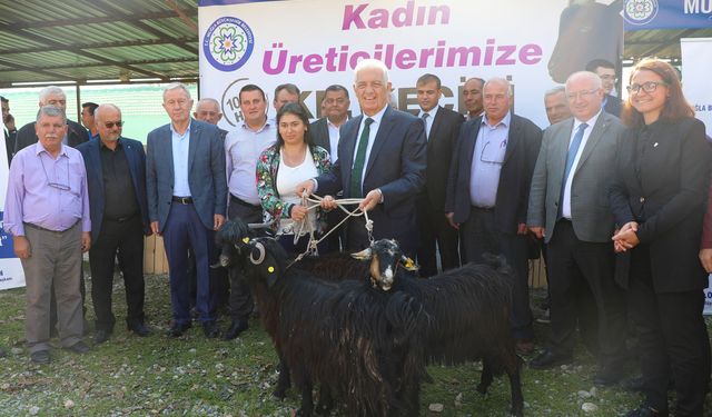 Büyükşehir’den 126 kadın üreticiye Kıl Keçisi desteği