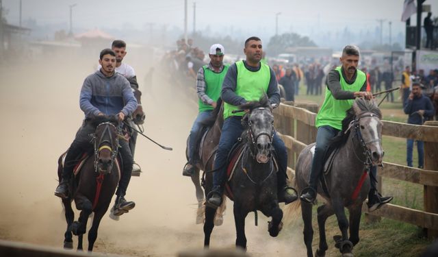 Küheylanlar, Atatürk için koştu