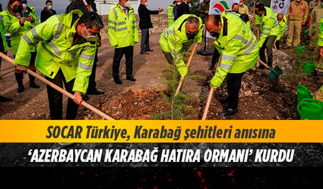 SOCAR Türkiye'den hatıra ormanı