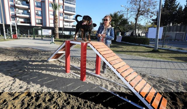 Gaziemir’de köpeklere özel park açıldı