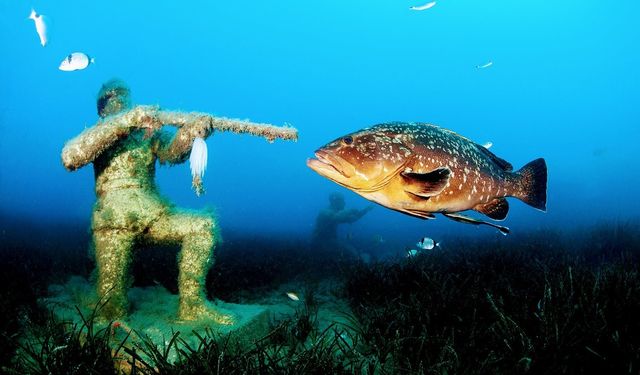 İzmirli su altı fotoğrafçısı dünya birincisi oldu