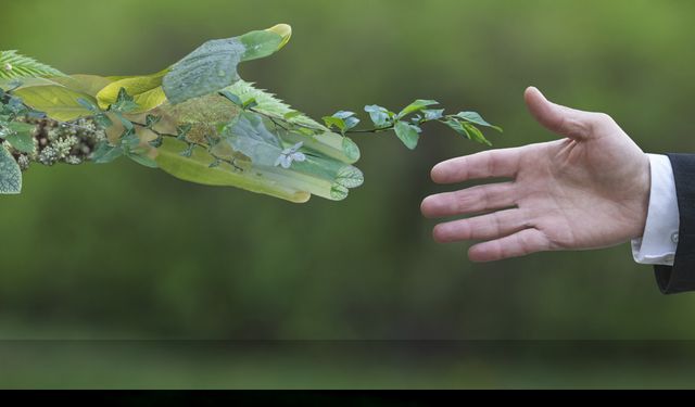 AB'nin Yeşil Mutabakat penceresinden yeşil sanayi rehberi