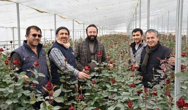 Başkan Artcı; “ Üreticimizin yüzü bu yıl da gülüyor!”