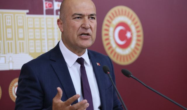 CHP’li Bakan’dan ‘zeytin yönetmeliği’ açıklaması: