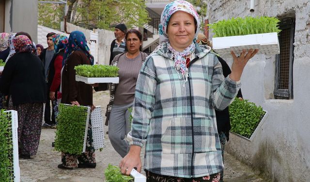 Buca Belediyesi’nden üreticiye 100 bin sebze fidesi