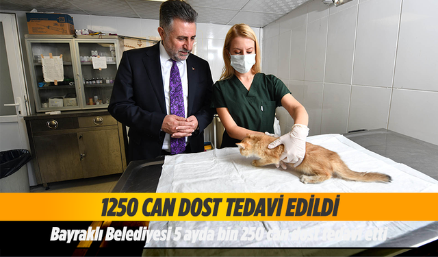 Bin 250 can dost tedavi edildi