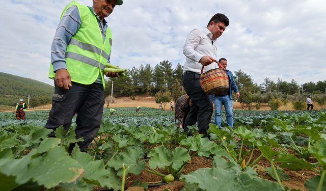 Buca yeniden tarım kenti oluyor