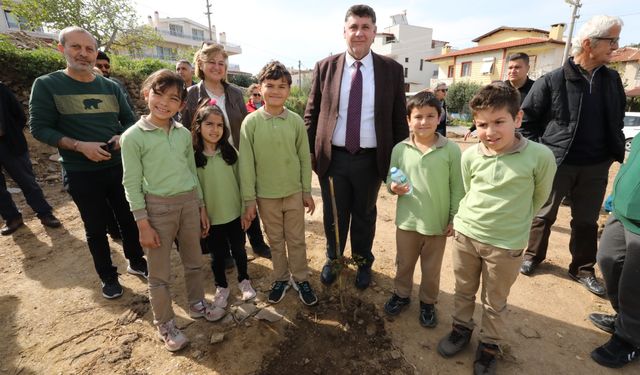 Menderes sakız ağaçlarıyla süslenecek