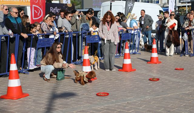 PatiFest’te Eğlence ve Sevgi Bir Araya Geldi